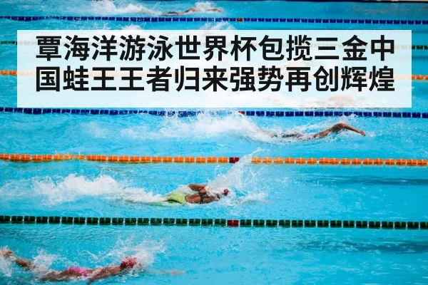 competitive swimming pool